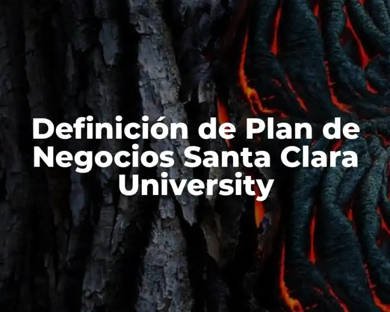 Definición de Plan de Negocios Santa Clara University