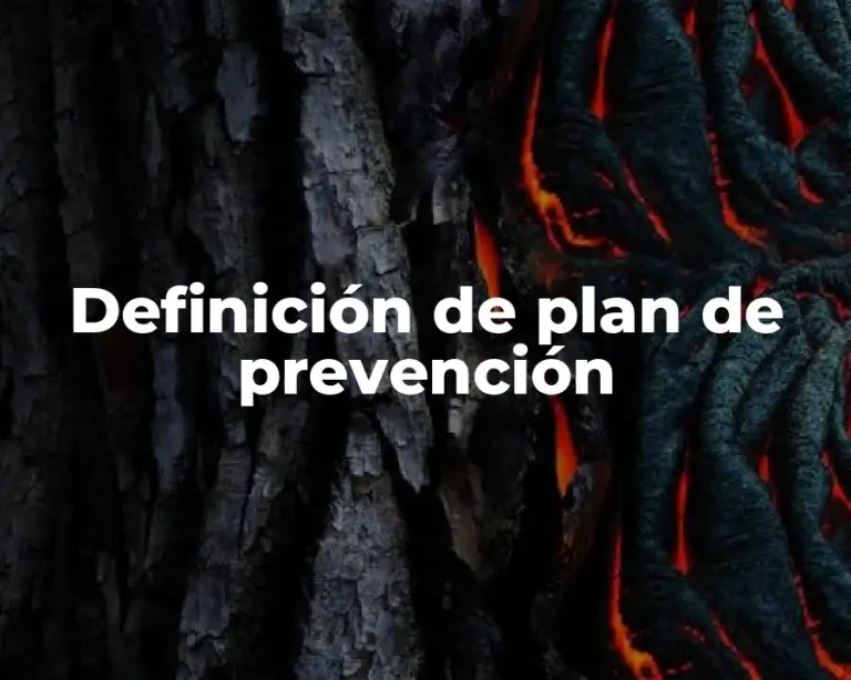 Definición de plan de prevención