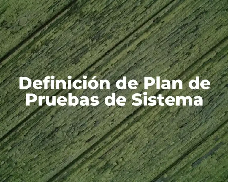 Definición de Plan de Pruebas de Sistema