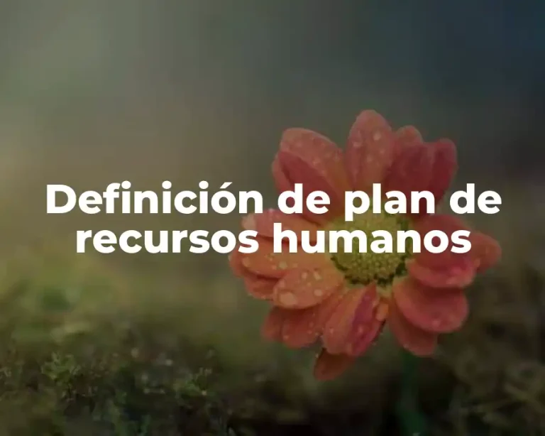Definición de plan de recursos humanos