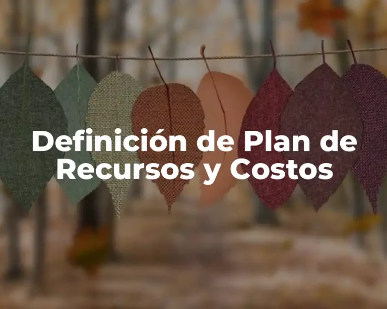 Definición de Plan de Recursos y Costos