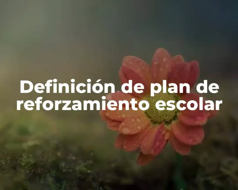 Definición de plan de reforzamiento escolar