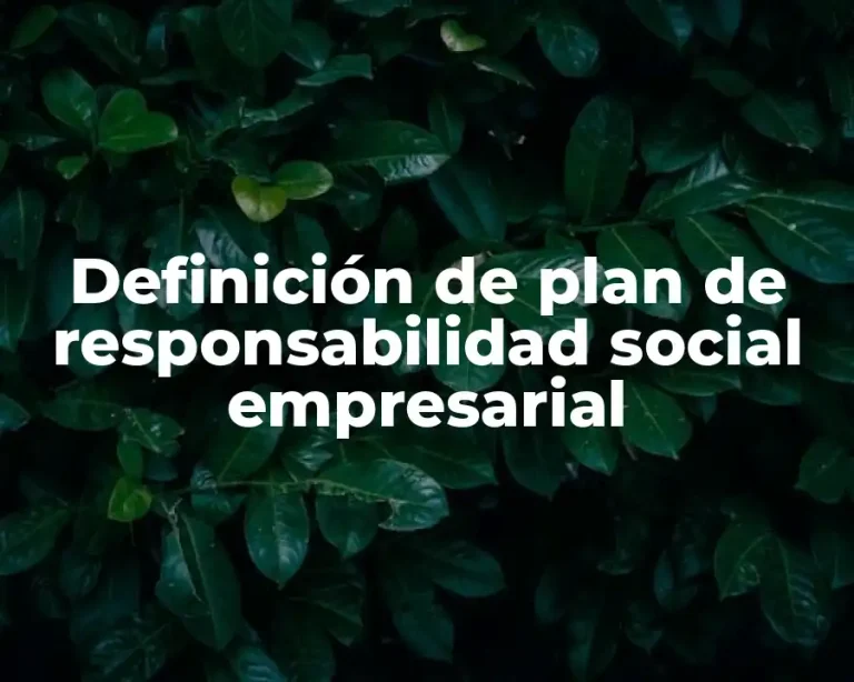 Definición de plan de responsabilidad social empresarial