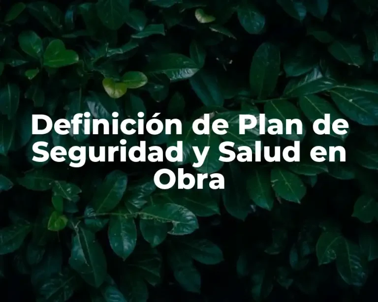 Definición de Plan de Seguridad y Salud en Obra