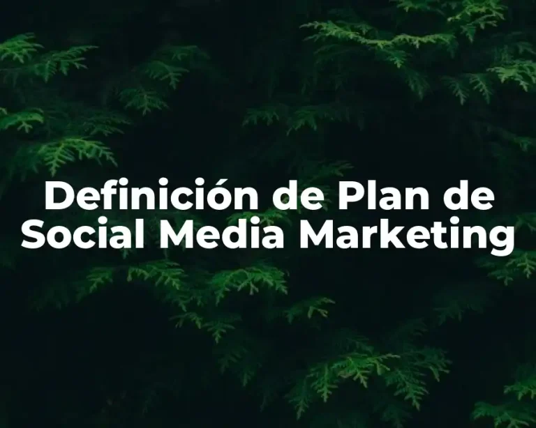 Definición de Plan de Social Media Marketing