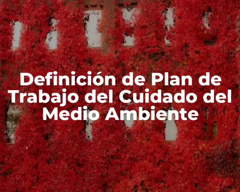Definición de Plan de Trabajo del Cuidado del Medio Ambiente