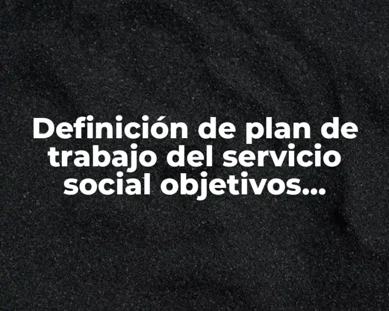 Definición de plan de trabajo del servicio social objetivos específicos