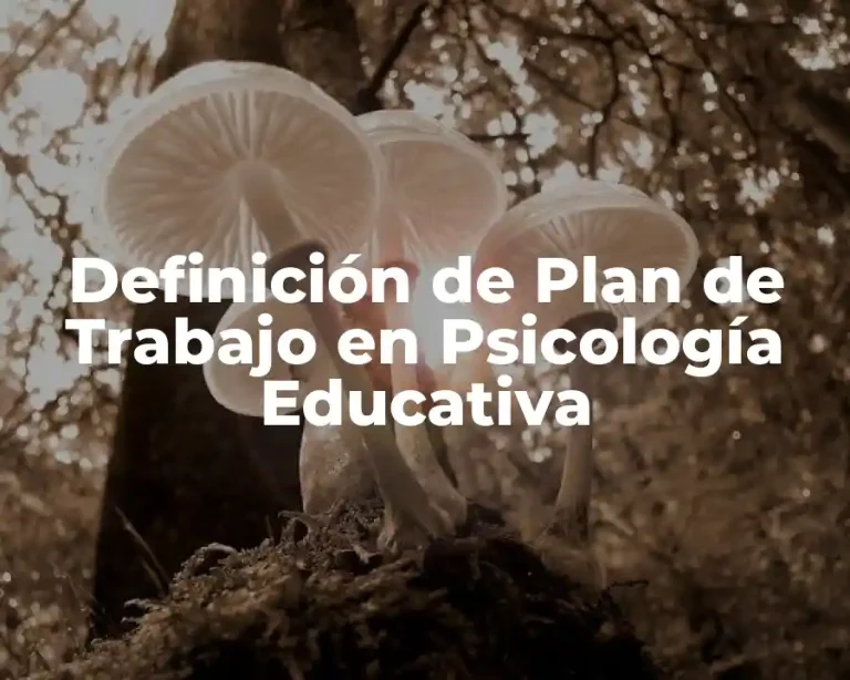 Definición de Plan de Trabajo en Psicología Educativa