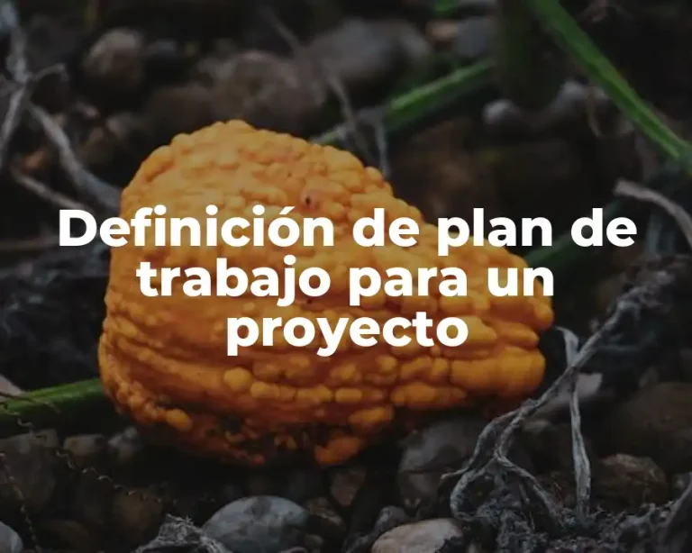 Definición de plan de trabajo para un proyecto