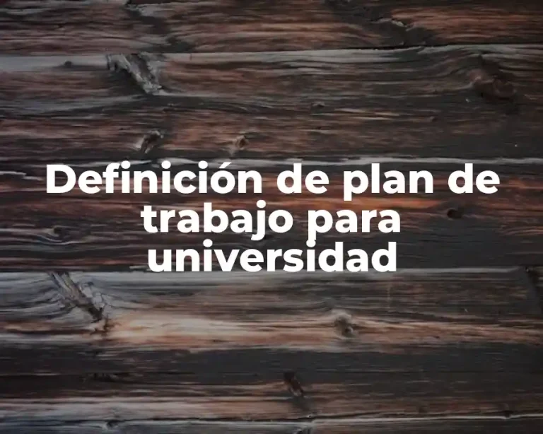Definición de plan de trabajo para universidad