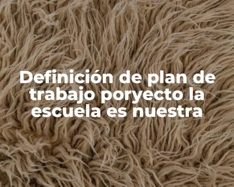 Definición de plan de trabajo poryecto la escuela es nuestra