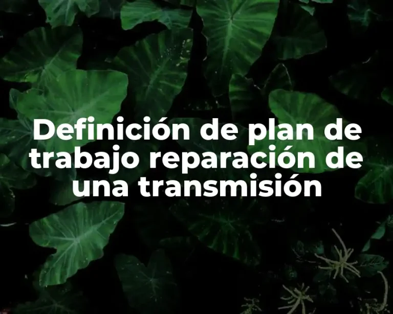 Definición de plan de trabajo reparación de una transmisión