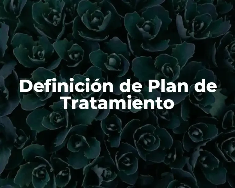 Definición de Plan de Tratamiento