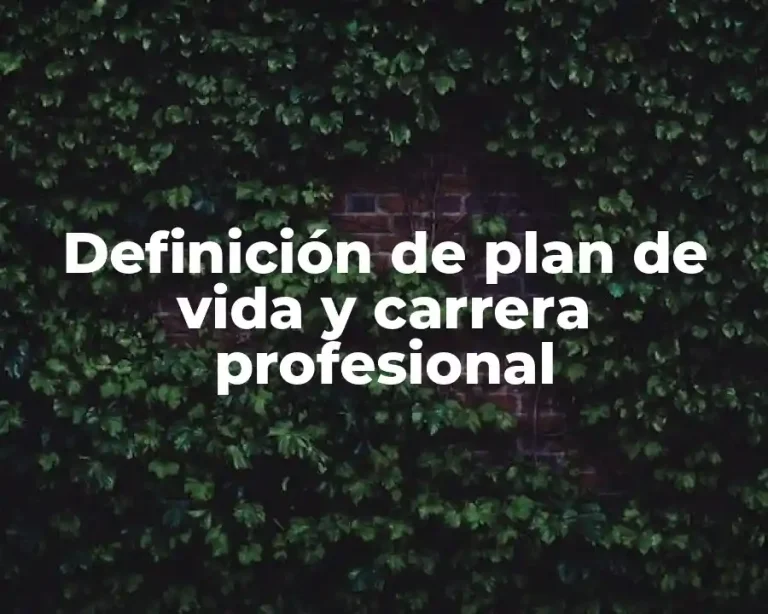 Definición de plan de vida y carrera profesional