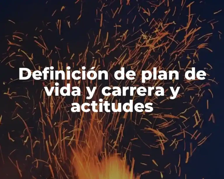 Definición de plan de vida y carrera y actitudes
