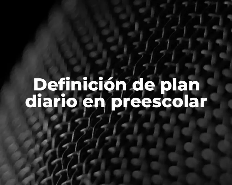 Definición de plan diario en preescolar