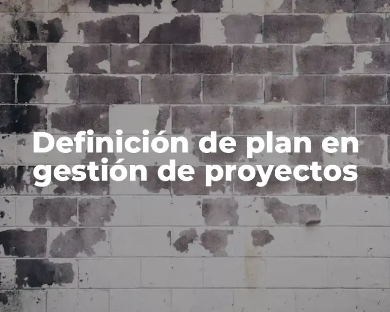 Definición de plan en gestión de proyectos