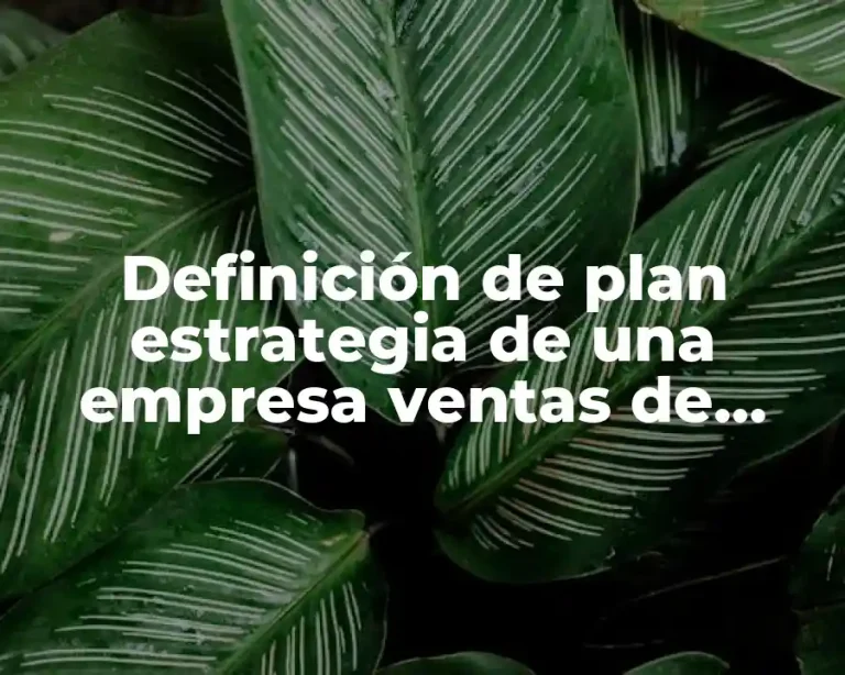 Definición de plan estrategia de una empresa ventas de computadoras