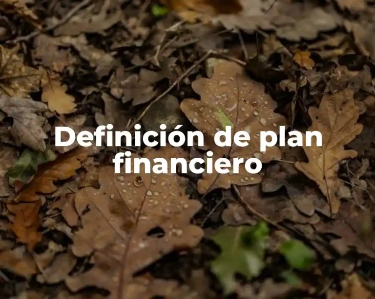 Definición de plan financiero