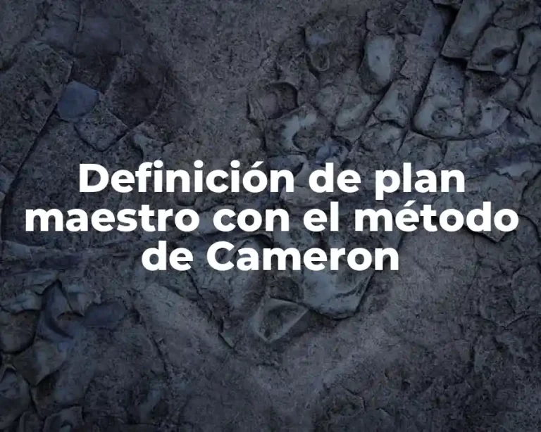 Definición de plan maestro con el método de Cameron