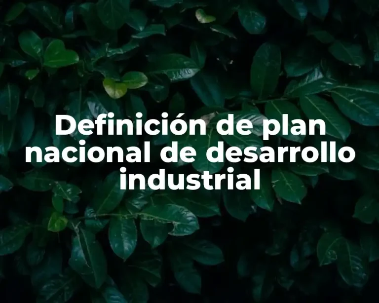 Definición de plan nacional de desarrollo industrial