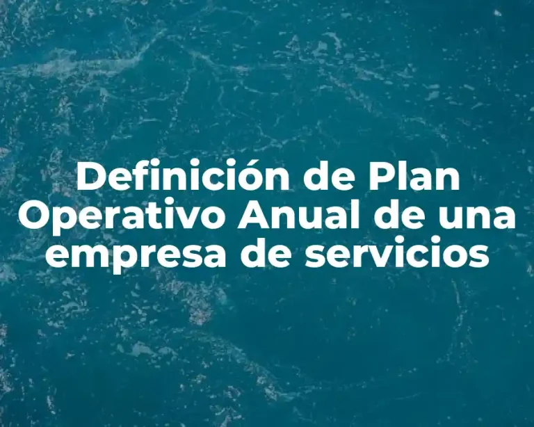Definición de Plan Operativo Anual de una empresa de servicios
