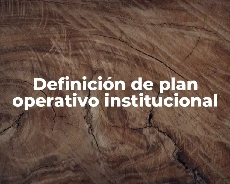 Definición de plan operativo institucional