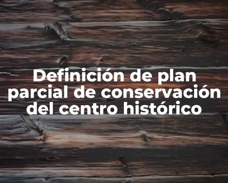Definición de plan parcial de conservación del centro histórico