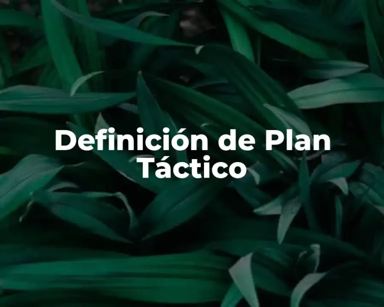 Definición de Plan Táctico
