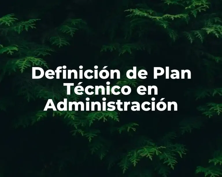 Definición de Plan Técnico en Administración