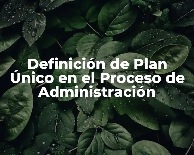 Definición de Plan Único en el Proceso de Administración
