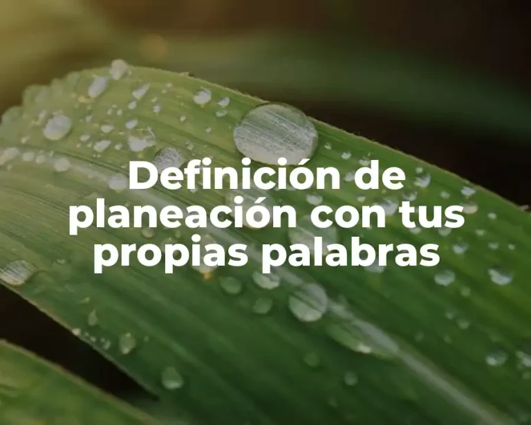 Definición de planeación con tus propias palabras