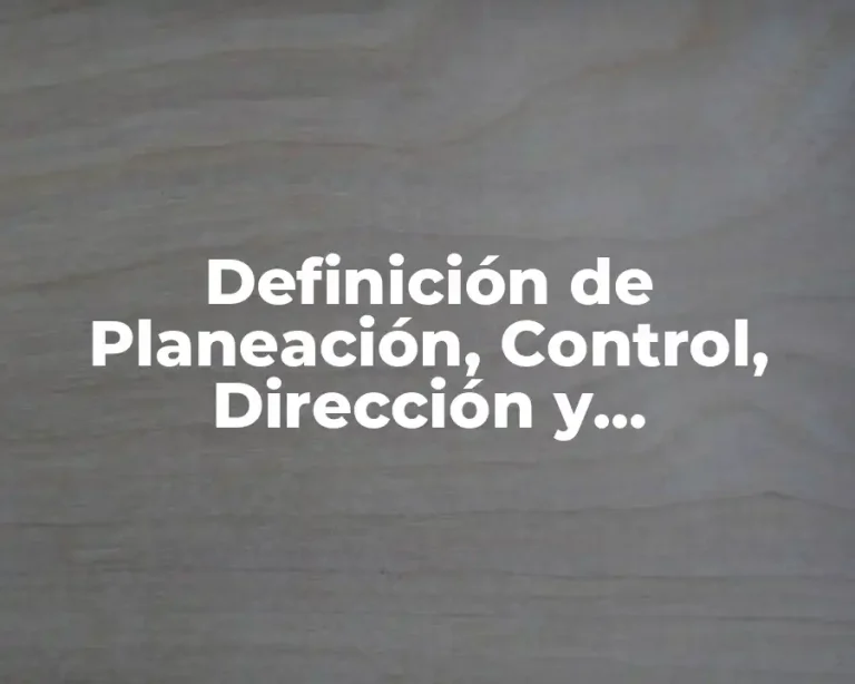 Definición de Planeación, Control, Dirección y Organización