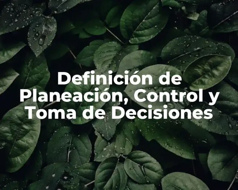 Definición de Planeación, Control y Toma de Decisiones
