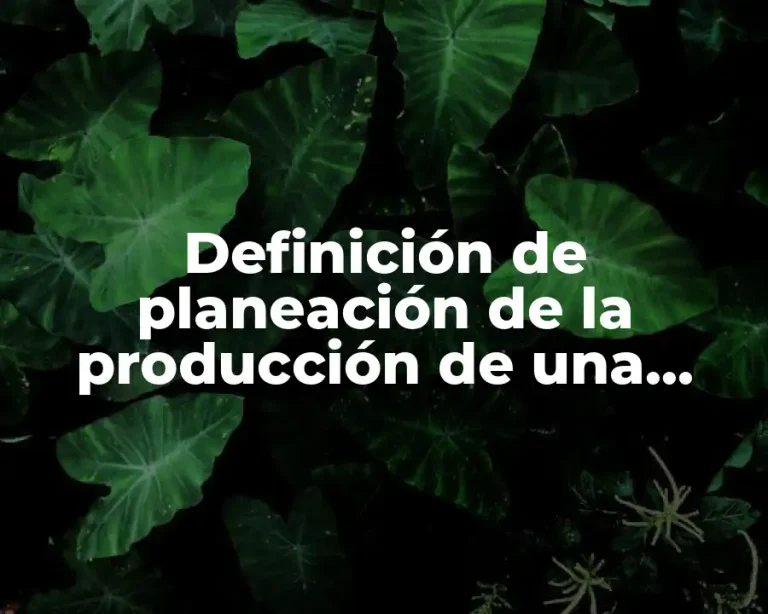 Definición de planeación de la producción de una empresa