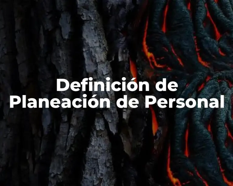 Definición de Planeación de Personal