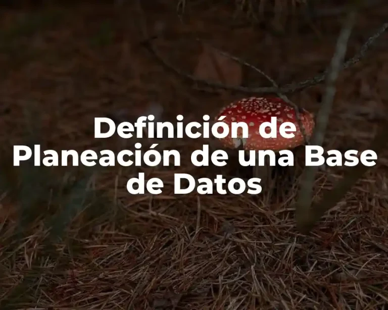 Definición de Planeación de una Base de Datos