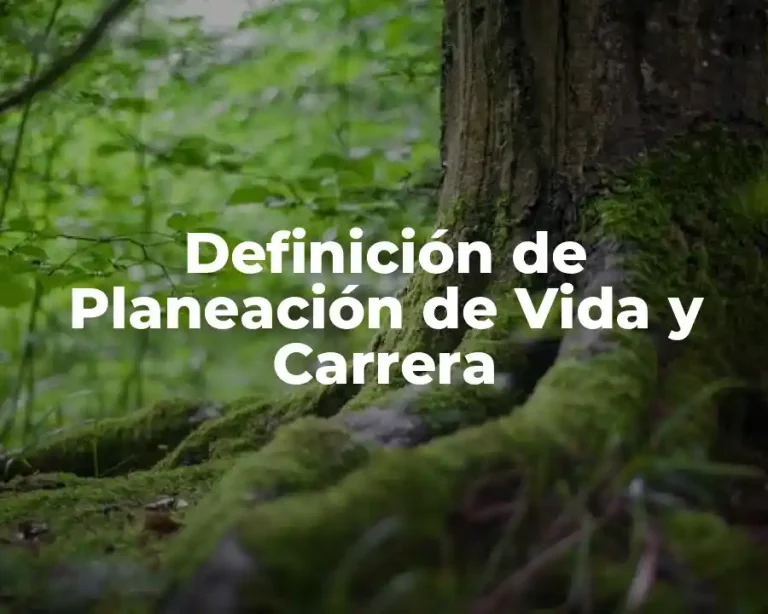 Definición de Planeación de Vida y Carrera
