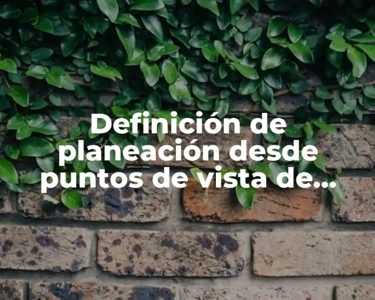 Definición de planeación desde puntos de vista de proyectos