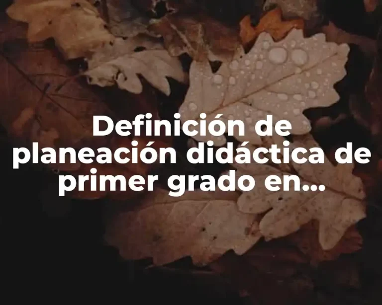 Definición de planeación didáctica de primer grado en educación física