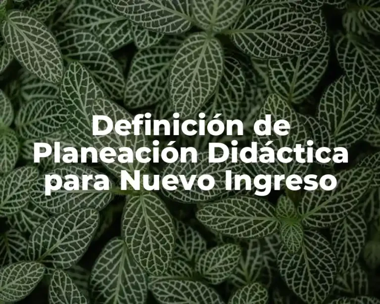 Definición de Planeación Didáctica para Nuevo Ingreso