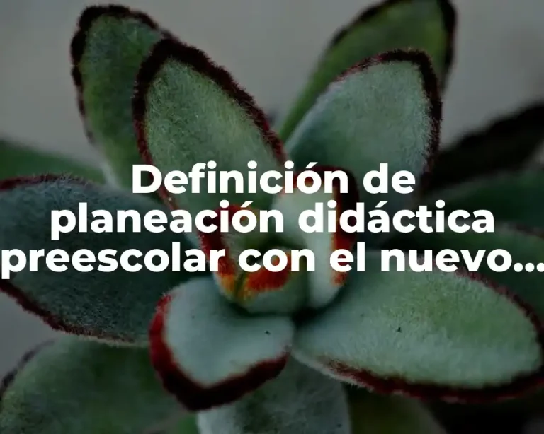 Definición de planeación didáctica preescolar con el nuevo modelo educativo