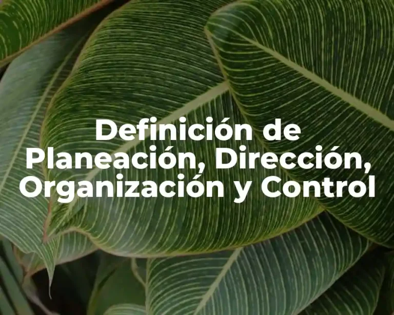 Definición de Planeación, Dirección, Organización y Control