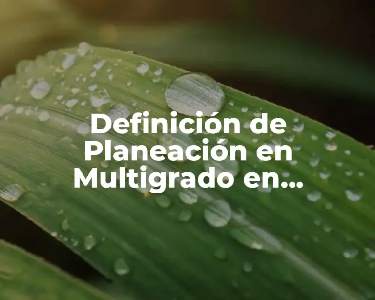 Definición de Planeación en Multigrado en Preescolar