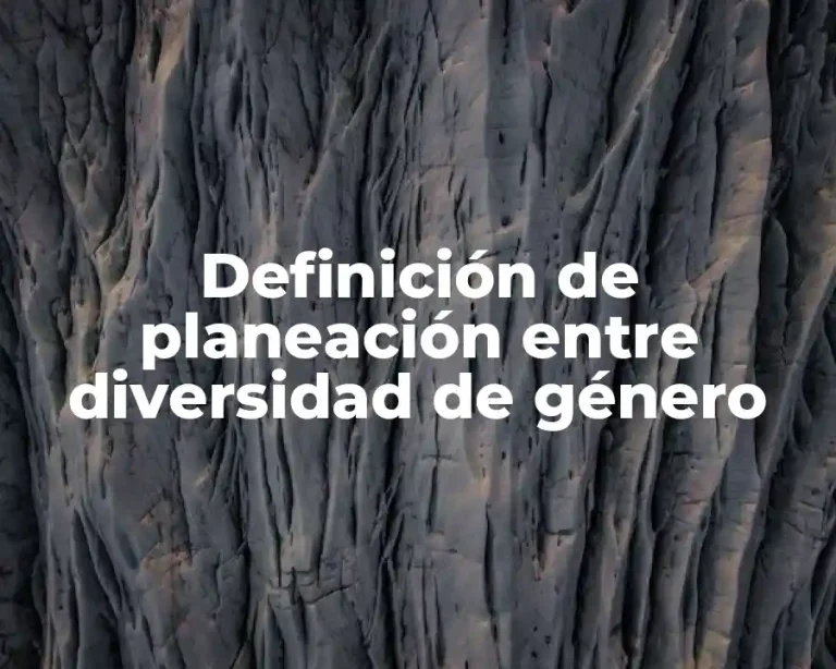 Definición de planeación entre diversidad de género