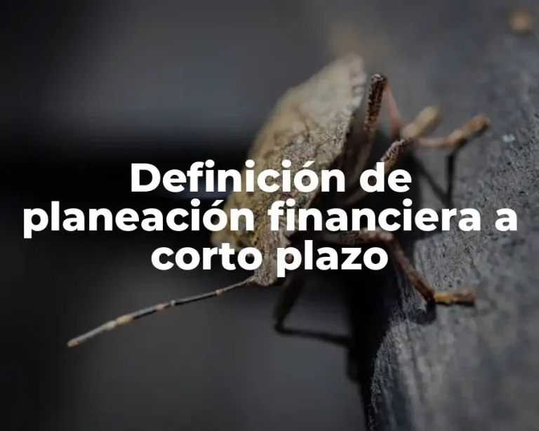 Definición de planeación financiera a corto plazo