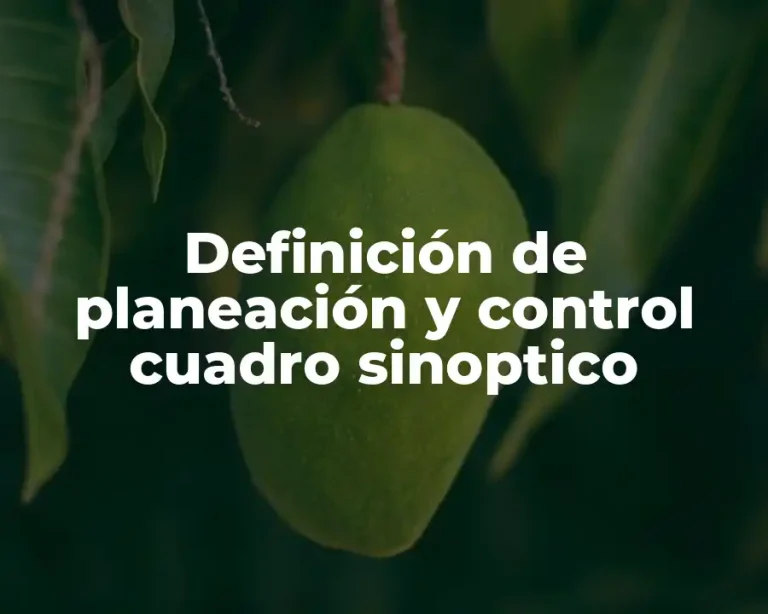 Definición de planeación y control cuadro sinoptico
