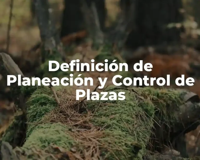 Definición de Planeación y Control de Plazas