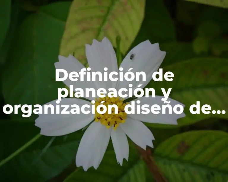 Definición de planeación y organización diseño de instalaciones