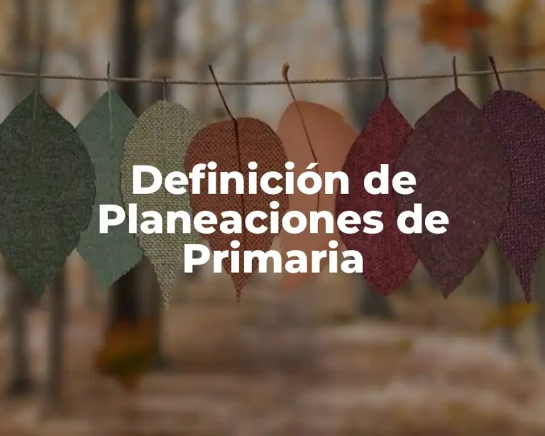 Definición de Planeaciones de Primaria